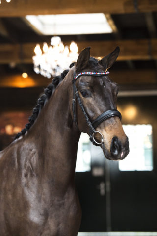 9. Melrose-DreamboyxSpielberg-1