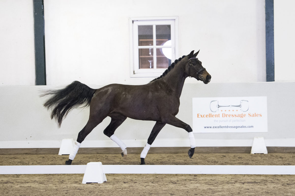 9. Melrose-DreamboyxSpielberg-2