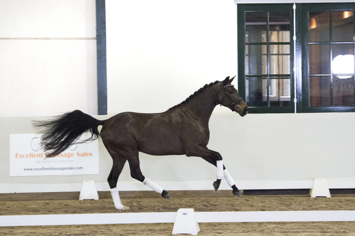 9. Melrose-DreamboyxSpielberg-5