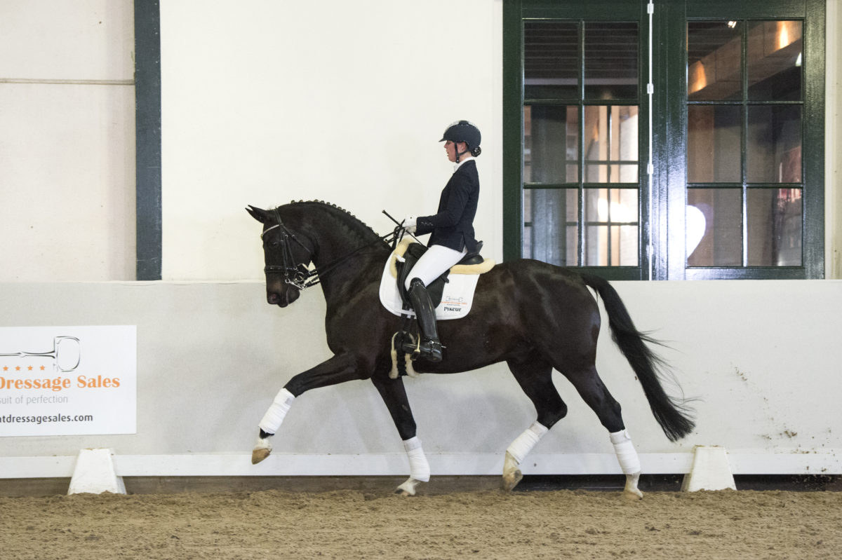 15. Blackdiamond-Gribaldi-2