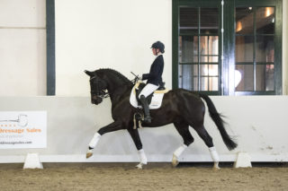 15. Blackdiamond-Gribaldi-2