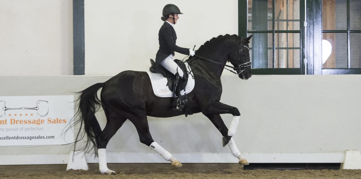 Excellentblack-Paintedblack-4