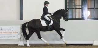 Excellentblack-Paintedblack-4
