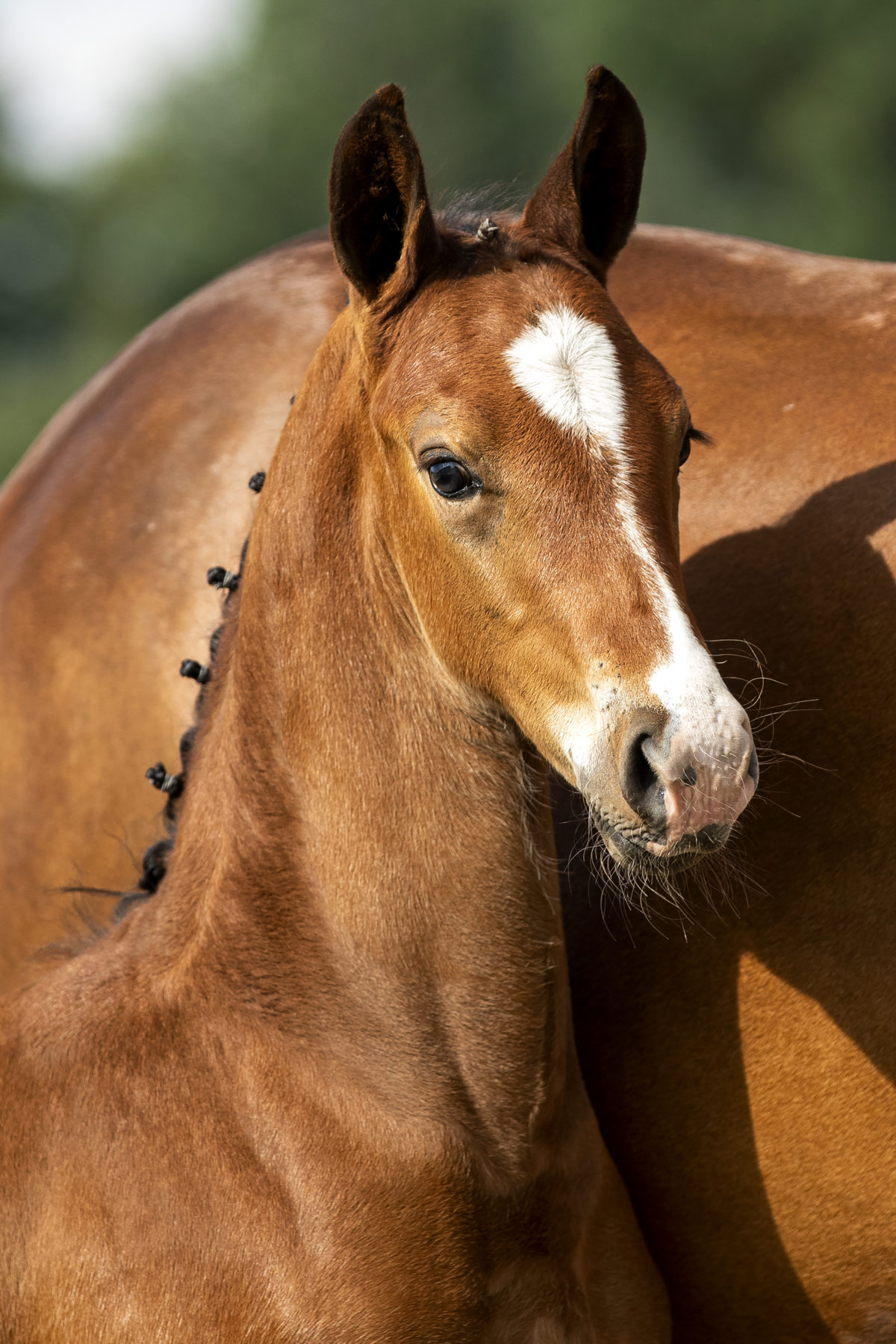 PicassovdBroeken_(Kjento X Charmeur)-1