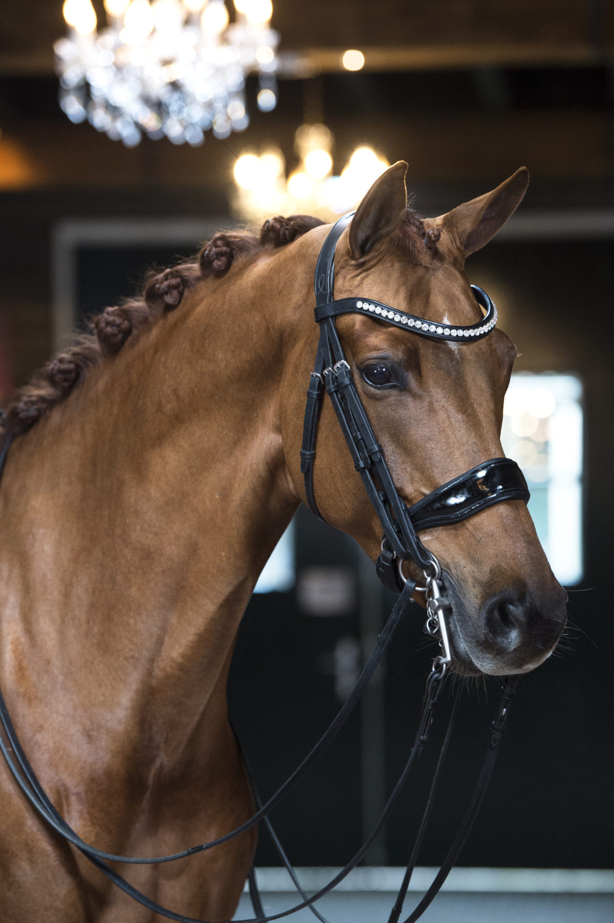 16. Hubertje-JazzxContango-1