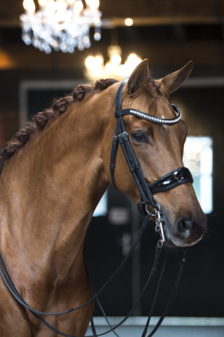 16. Hubertje-JazzxContango-1