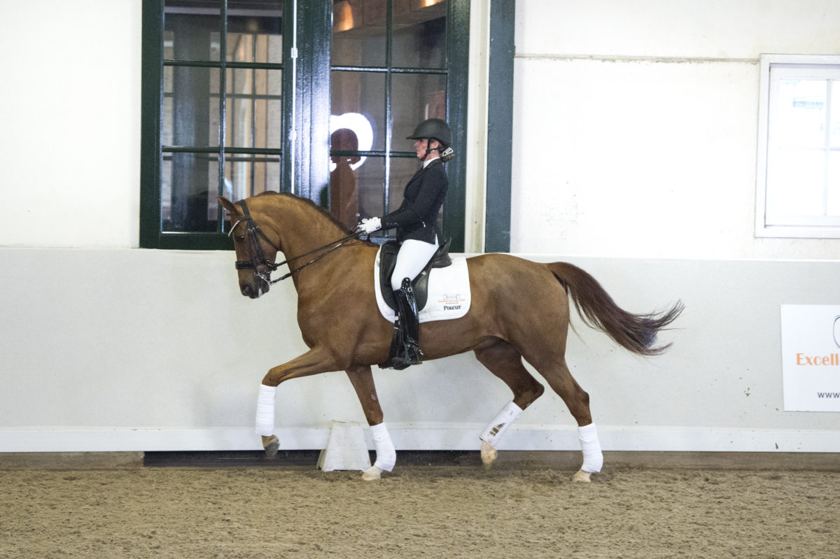 16. Hubertje-JazzxContango-2