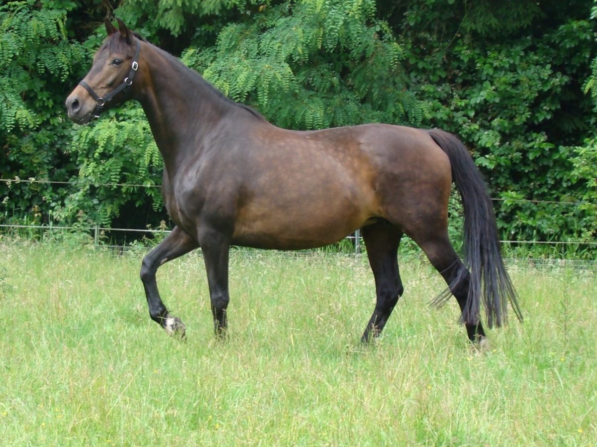 Renate 18 jaar zijkant