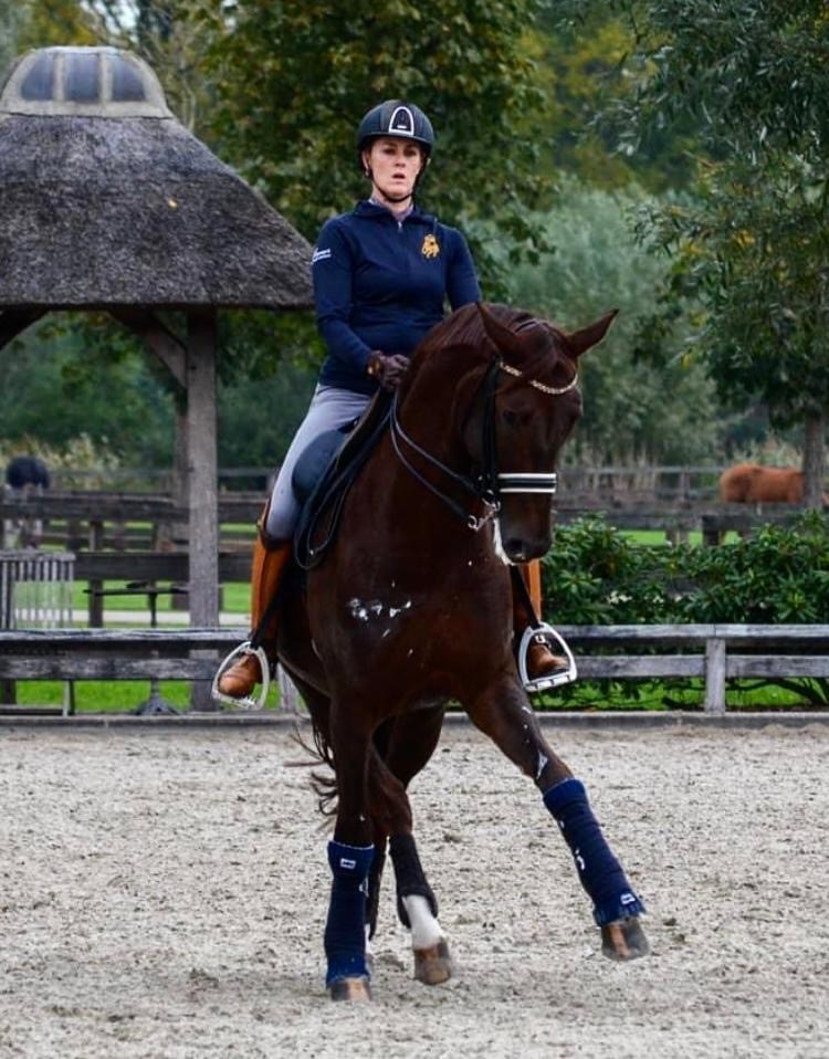 Finnlander Madeleine Witte-Vrees Excellent Dressage Sales