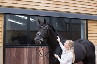 Veilingtopper Excellent Dressage Sales - dressuurpaard