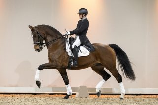 DancerAgain_PrestigeVDLXTango-04