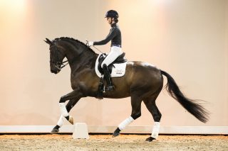 DeVito_JohnsonXDonRenoir-04