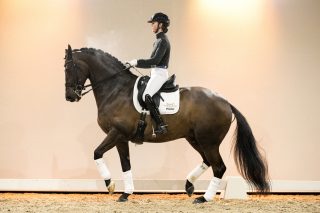 DeVito_JohnsonXDonRenoir-07