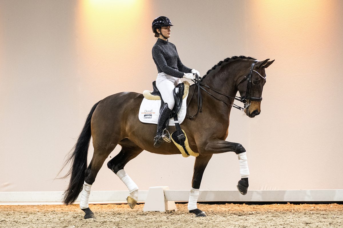 DonnaRay_UnitedXNegro-02