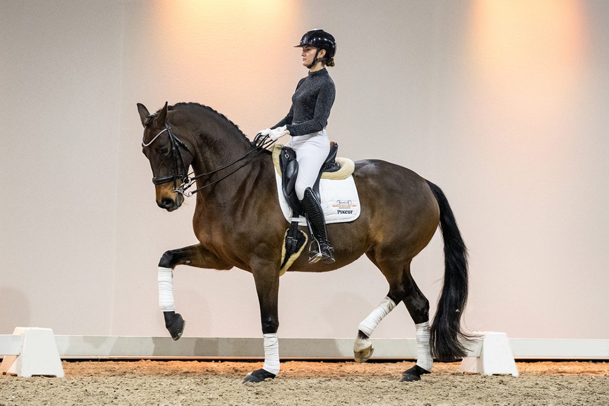 DonnaRay_UnitedXNegro-04