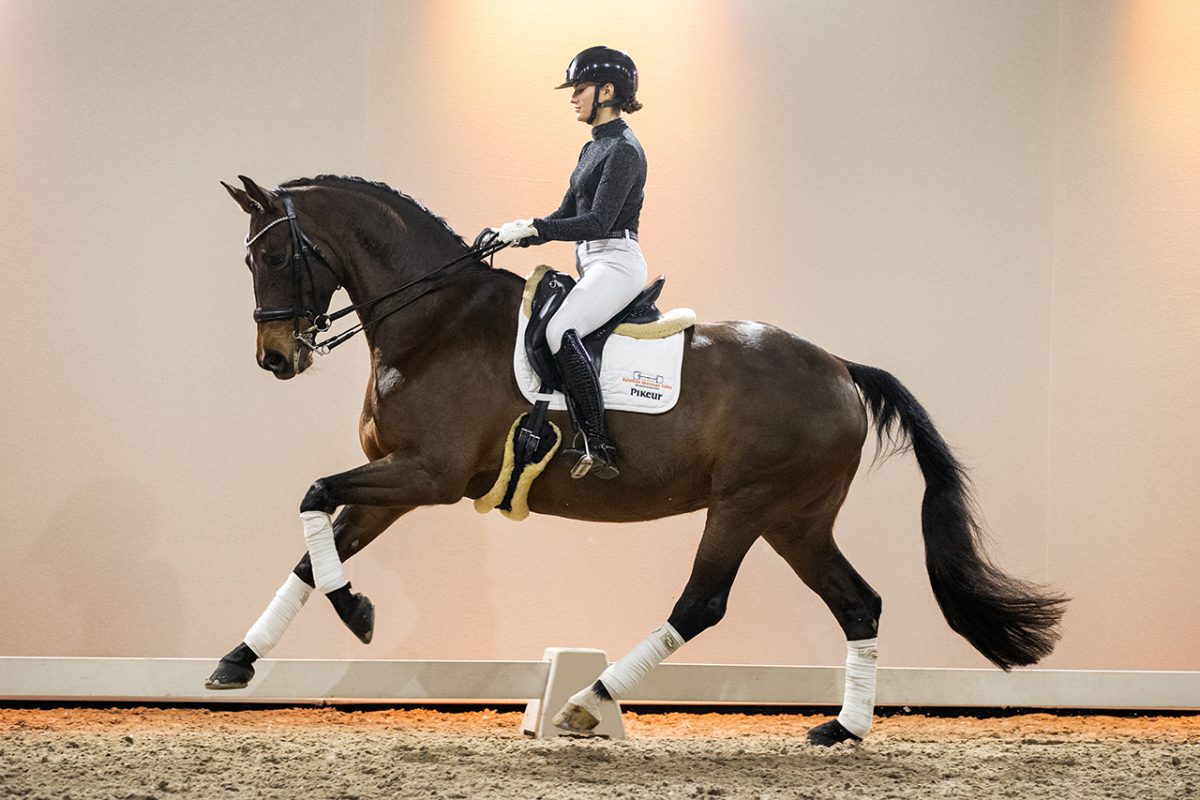 DonnaRay_UnitedXNegro-07