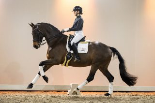 DonnaRay_UnitedXNegro-07