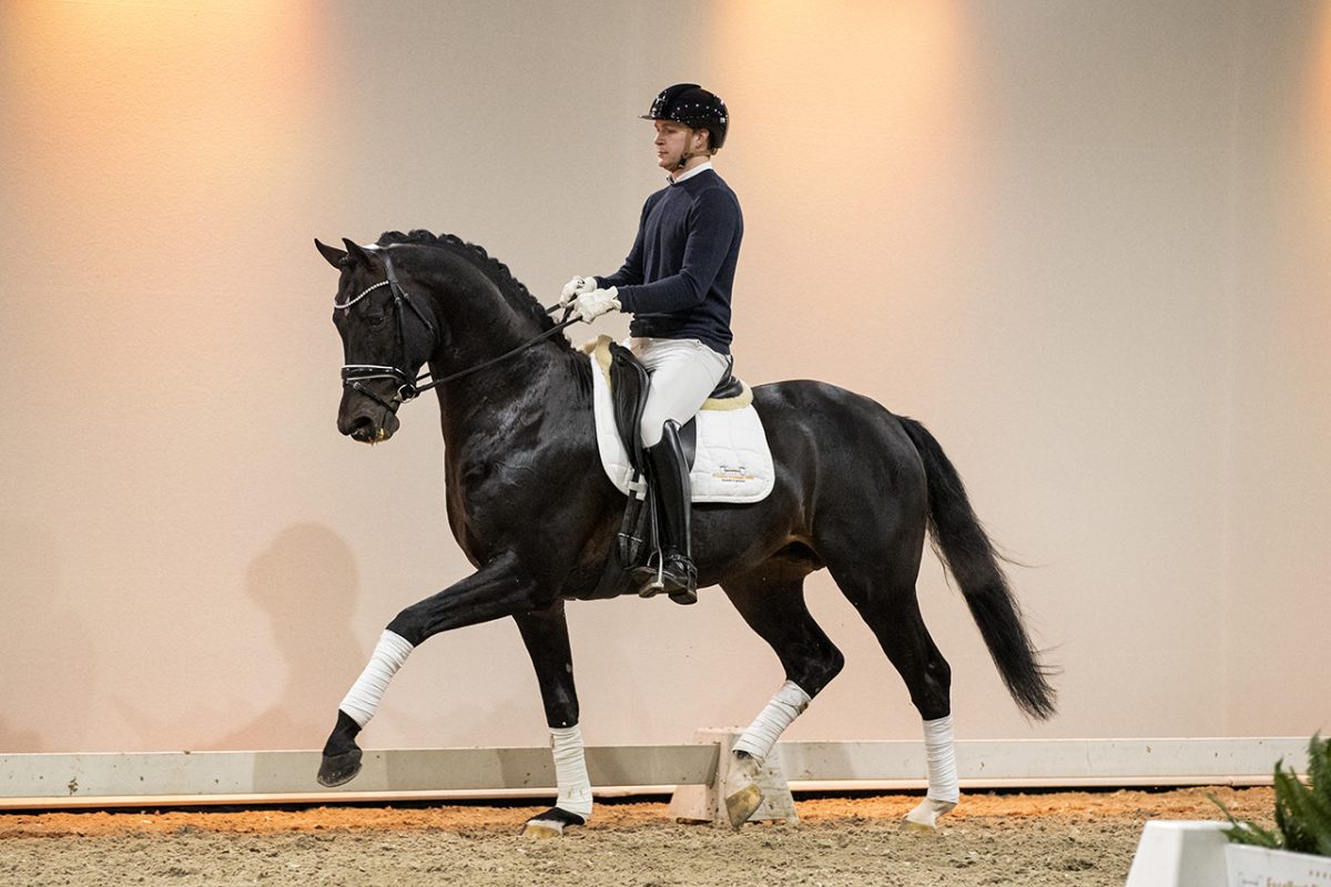 Escobar_ElCaponeXSydney-03