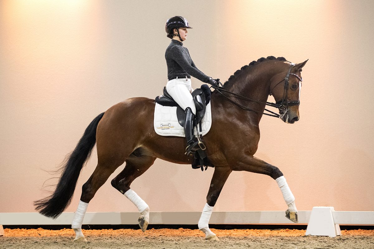 Excalibur_FurstromancierXKrackC-01