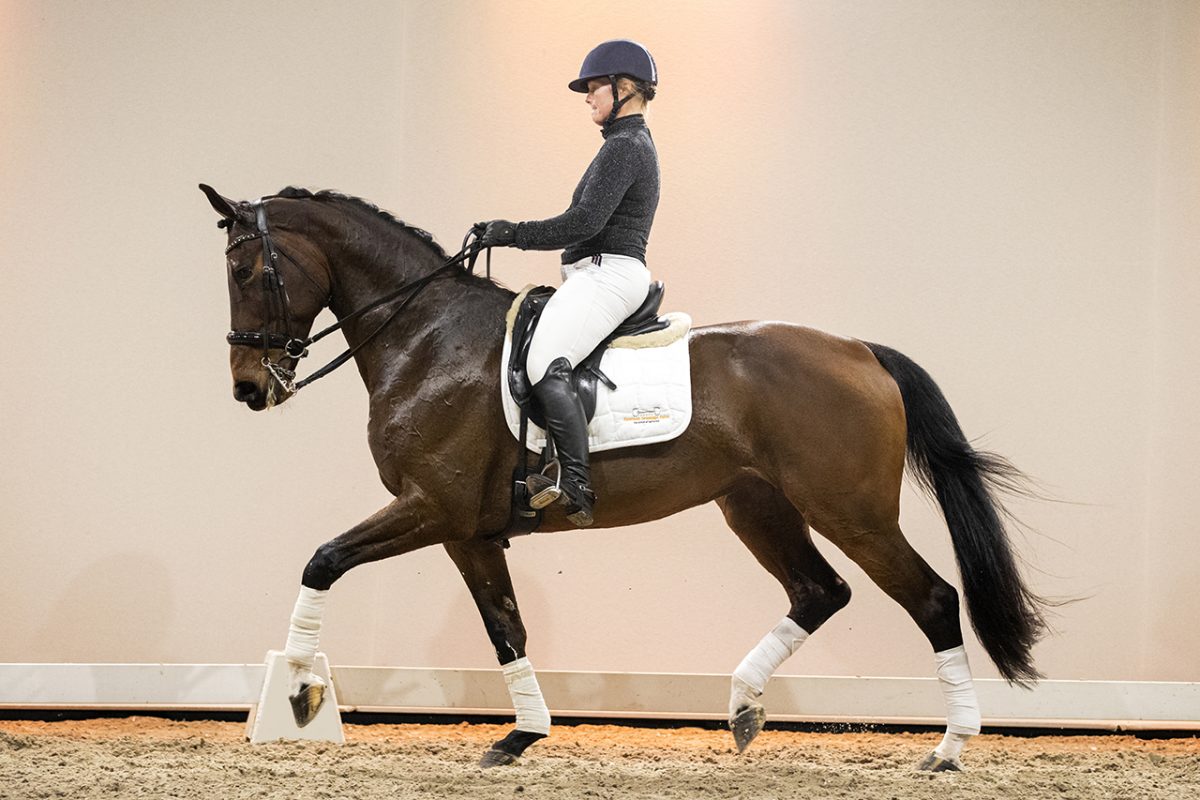 Hiricetha_CharmeurXTrentoB-02