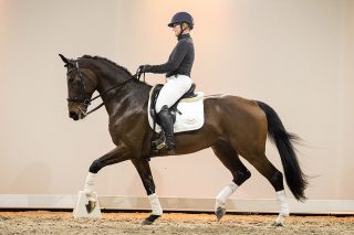 Hiricetha_CharmeurXTrentoB-02