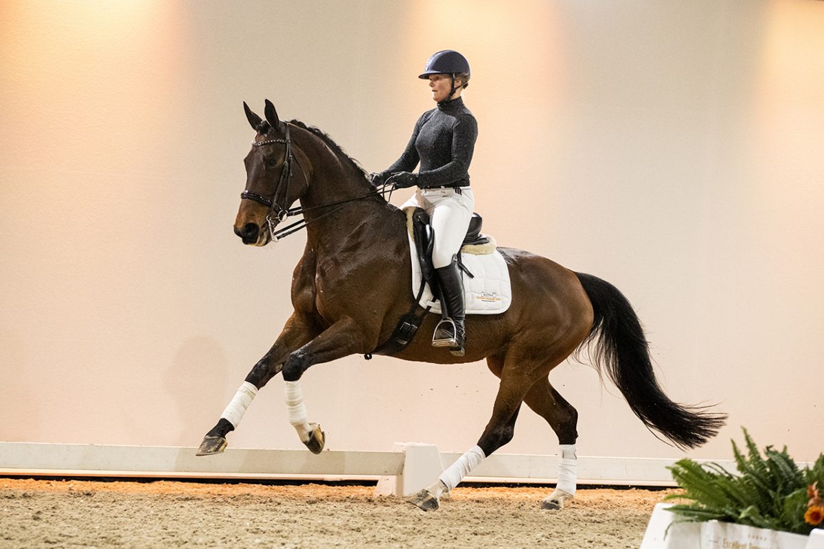 Hiricetha_CharmeurXTrentoB-06