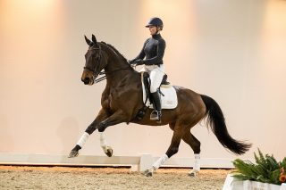 Hiricetha_CharmeurXTrentoB-06