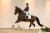 Hiricetha_CharmeurXTrentoB-06