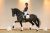 Hylinde_WyntonXFerro-04