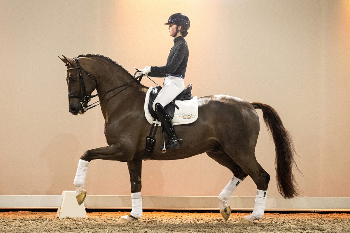 JamesDean_JazzRubinXFidermarkNRW-04