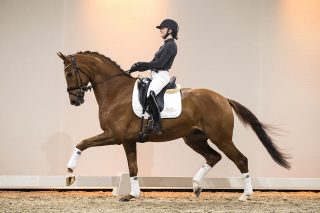 Jefferson_JazzXVitalis-01