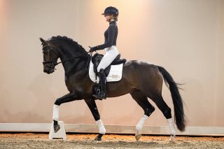 Mendez_FranklinXBlueHorsDonRomantic-01