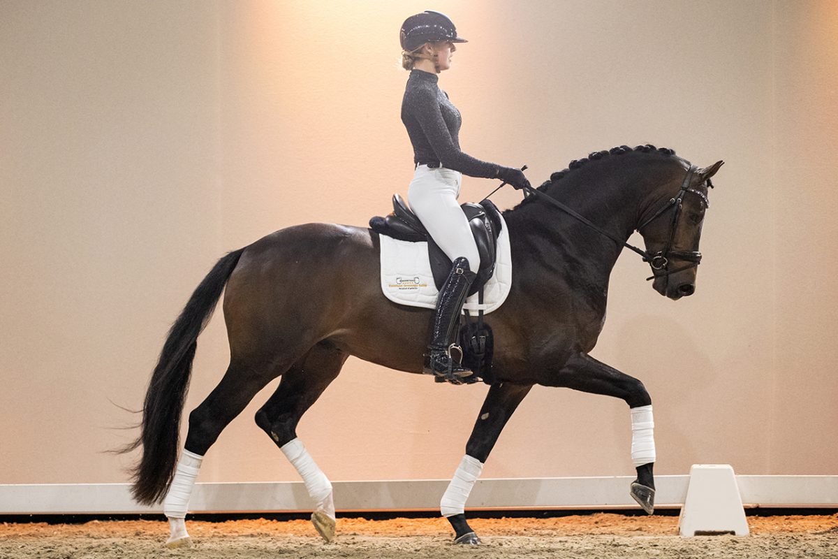 Mendez_FranklinXBlueHorsDonRomantic-03