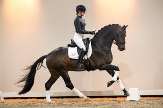 Mendez_FranklinXBlueHorsDonRomantic-07