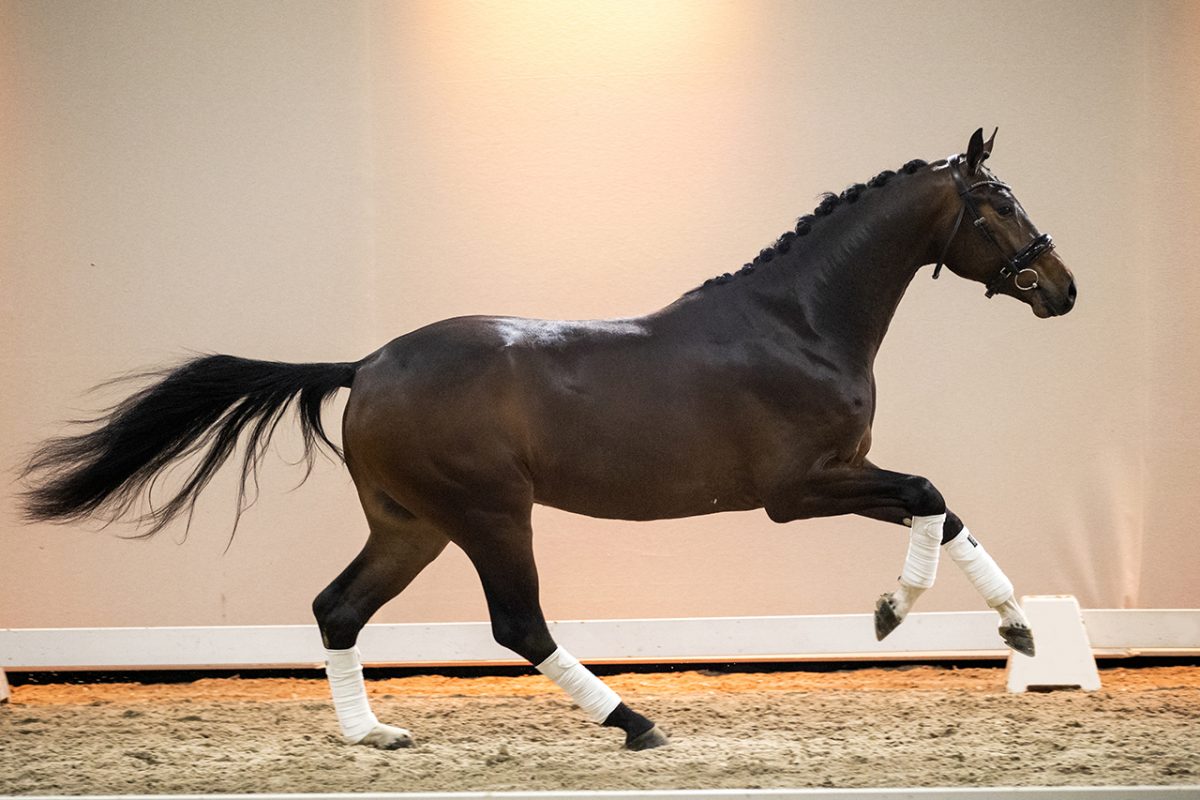 Njoy_JustWimphofXZhivago-07