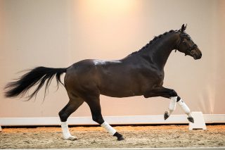 Njoy_JustWimphofXZhivago-07