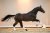 Njoy_JustWimphofXZhivago-07