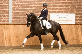 RP12-15 – Four Legends – Wynton x Ferro – Arthur Kleiweg-3752 verkleind