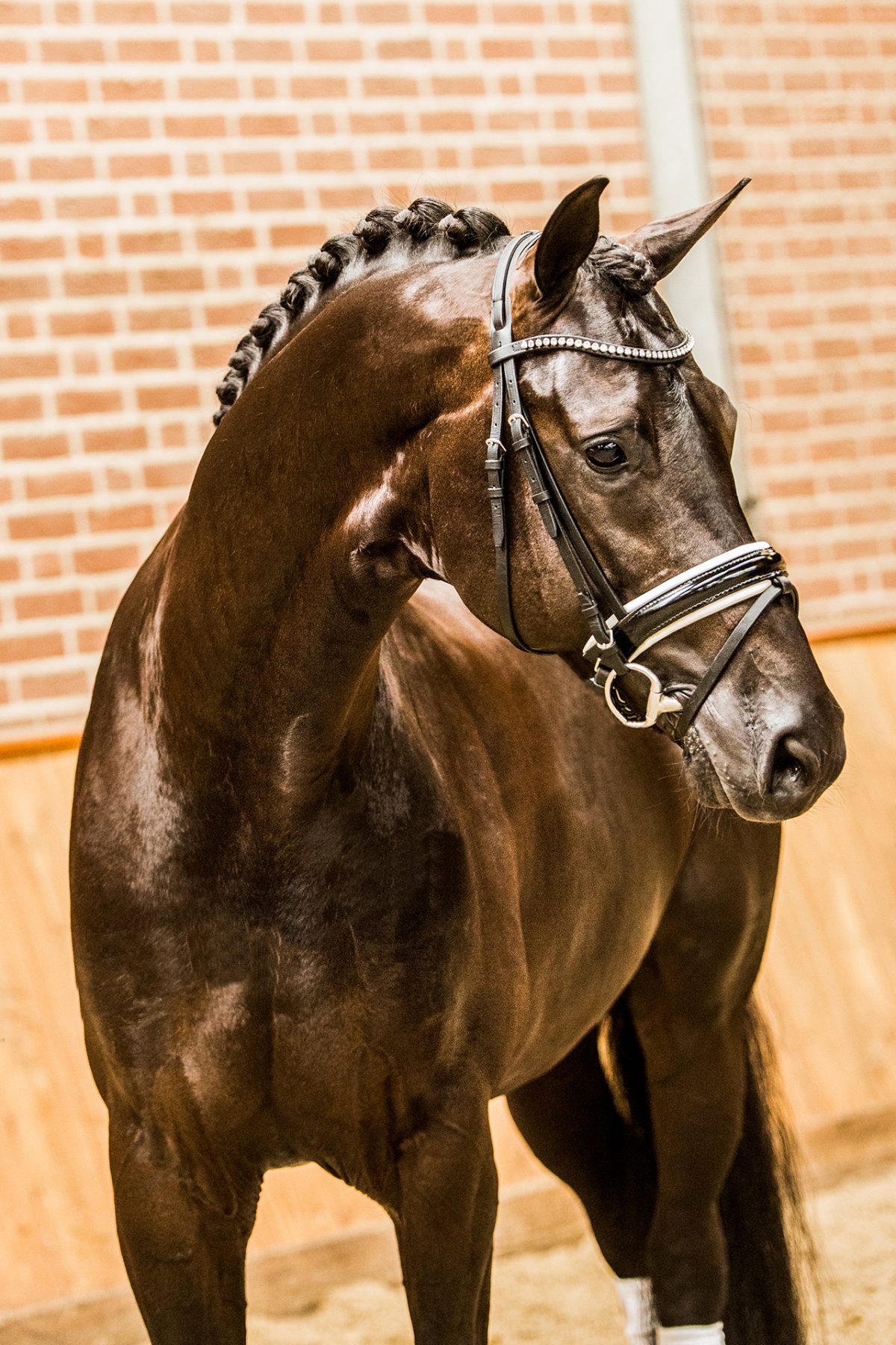 RP12-15 – Four Legends – Wynton x Ferro – Arthur Kleiweg- verkleind