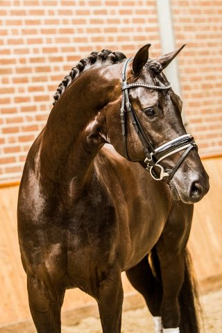 RP12-15 – Four Legends – Wynton x Ferro – Arthur Kleiweg- verkleind