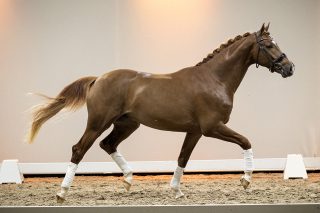 Sleepy_InstyleXcharmeur-03