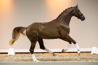 Sleepy_InstyleXcharmeur-05