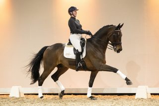 DutchDandyDJ_LordLeatherdaleXDarnels-03