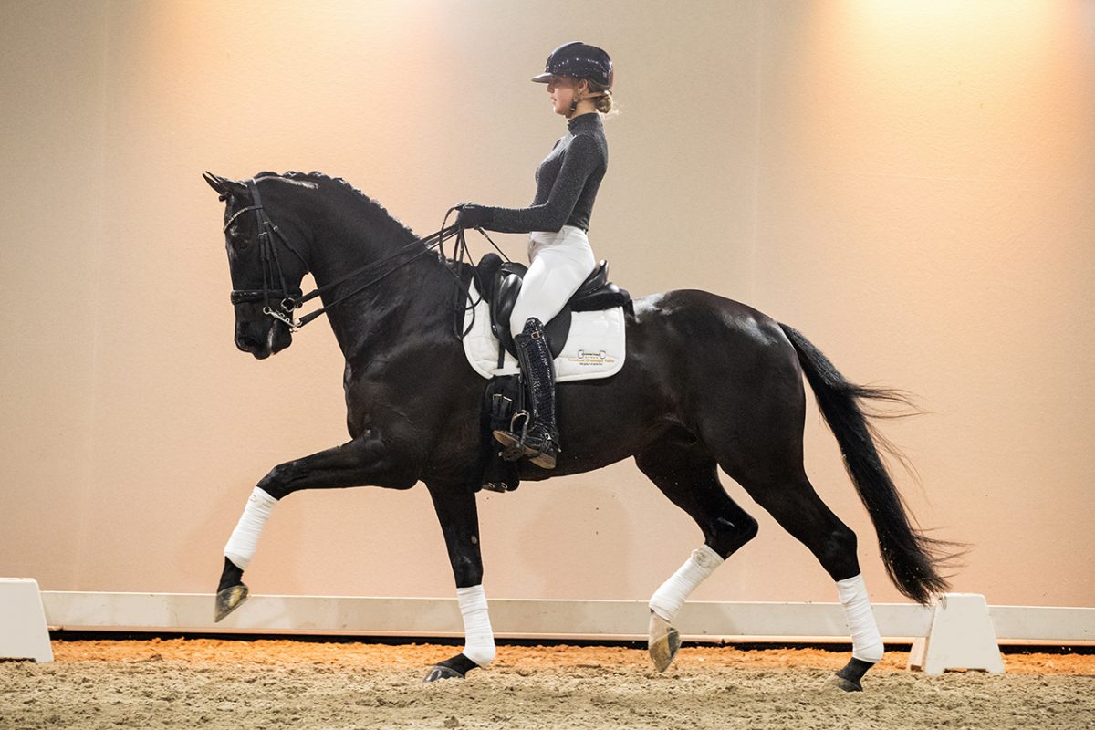 GipsyKing_VivaldiXHaarlem-02