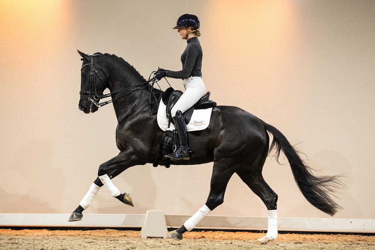 GipsyKing_VivaldiXHaarlem-06