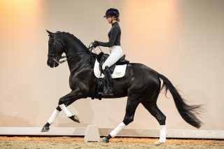 GipsyKing_VivaldiXHaarlem-06