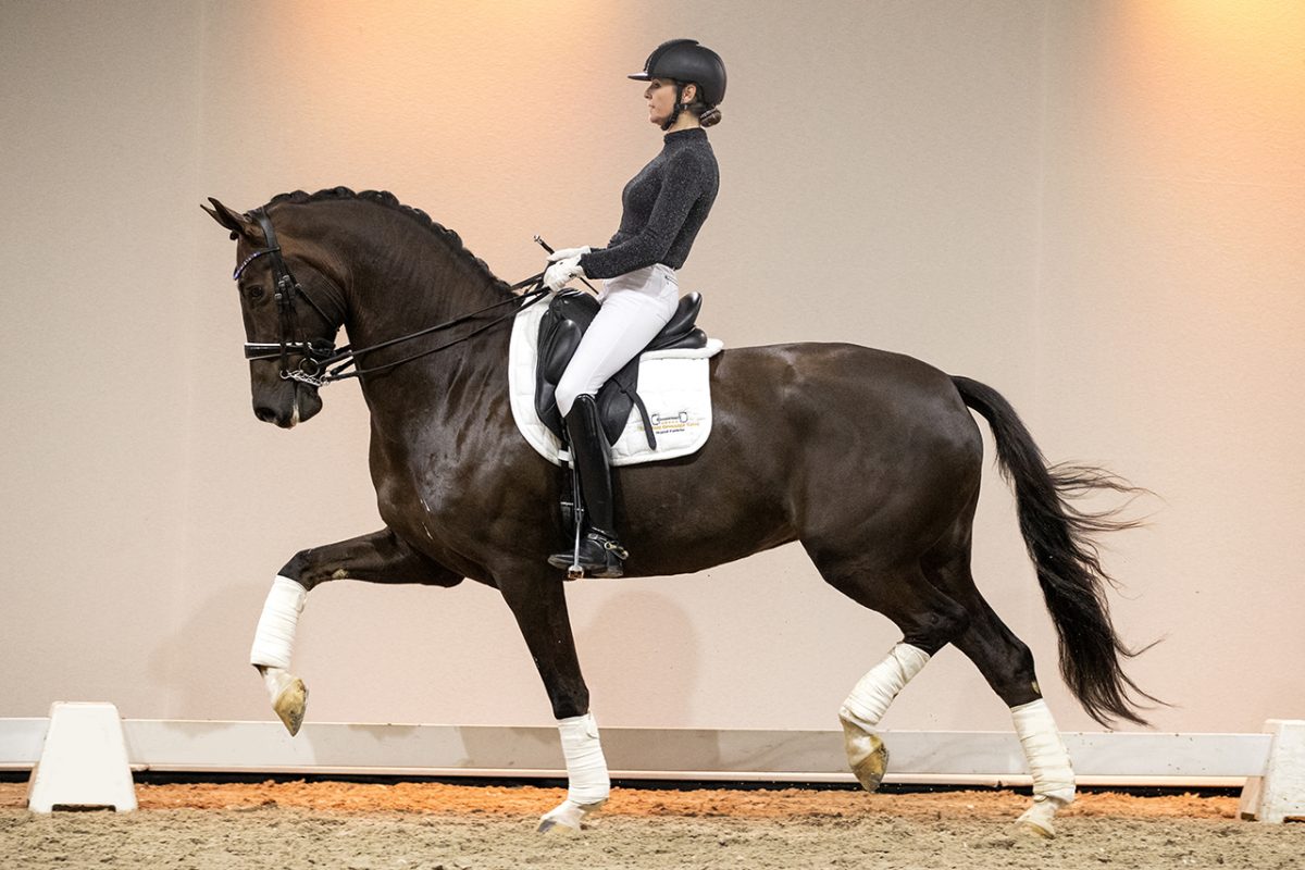 Katniss_GalaxieXCharmeur-01