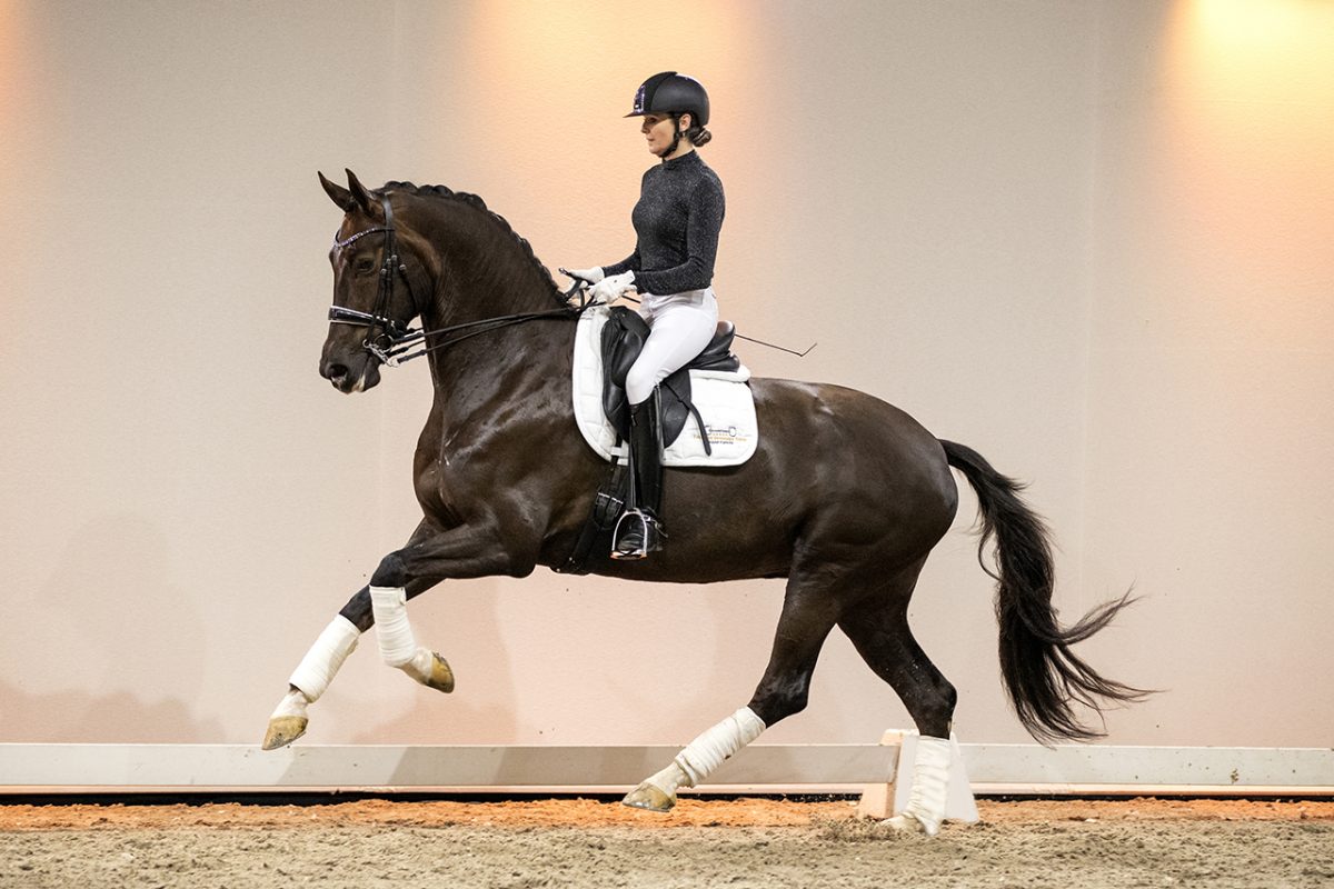 Katniss_GalaxieXCharmeur-07