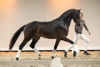 NandoJK_IngocnitoXGalaxie-02