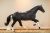 NeilDiamond_DailyDiamond-06